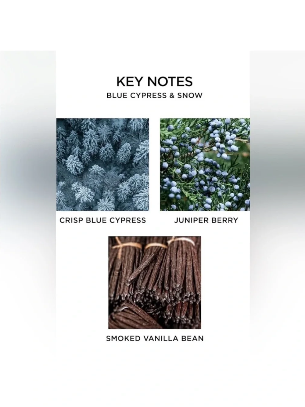 Nest Fragrances New York Blue Cypress and Snow Classic 8.1 Oz New